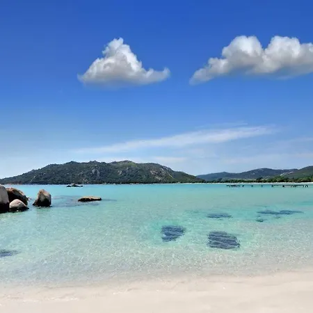 公寓 Magnifique T3 A Santa-giulia Porto-vecchio