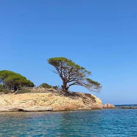 Apartment Magnifique T3 A Santa-giulia Porto-vecchio Porto-Vecchio (Corsica)